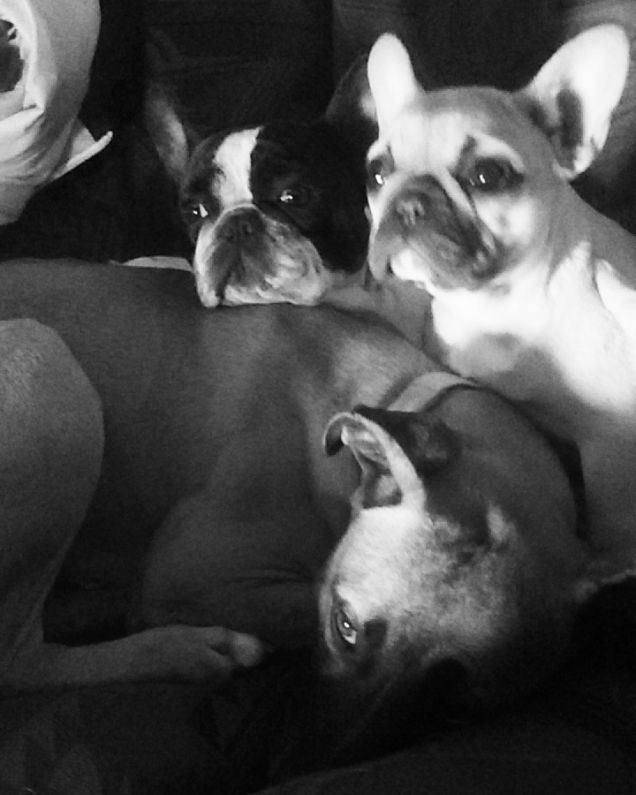 Tutta la famiglia brambilla