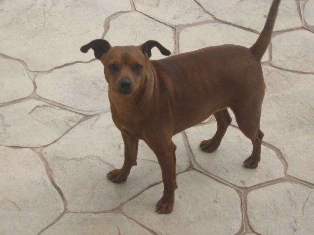 alla foto principala aveva solo un mese e mezzo.. ora ha 3 anni e mezzo