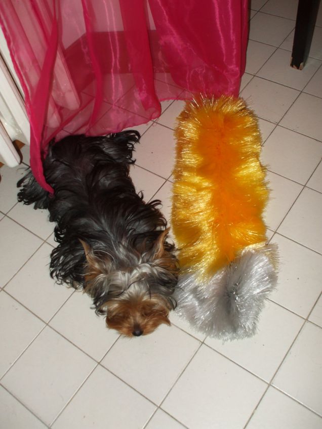 indovinate quale è fragola????