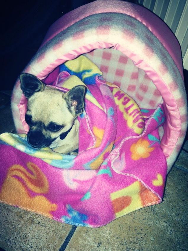 Buongiorno/buonanotte!