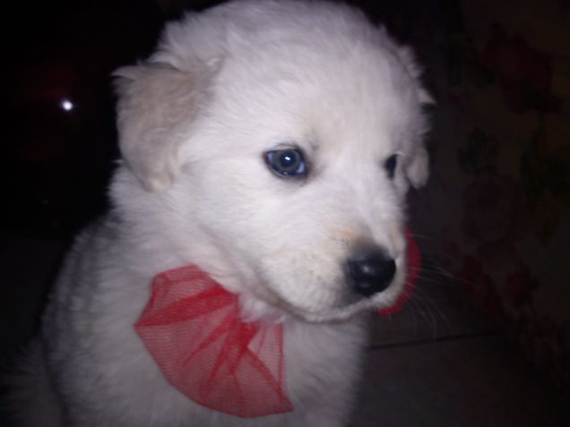 il mio piccolino è arrivato a casa così!!!!