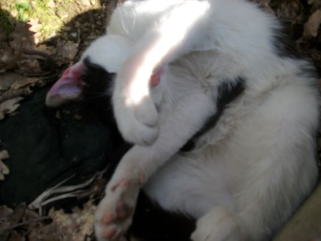 'dai non mi fotografare mi vergogno!'