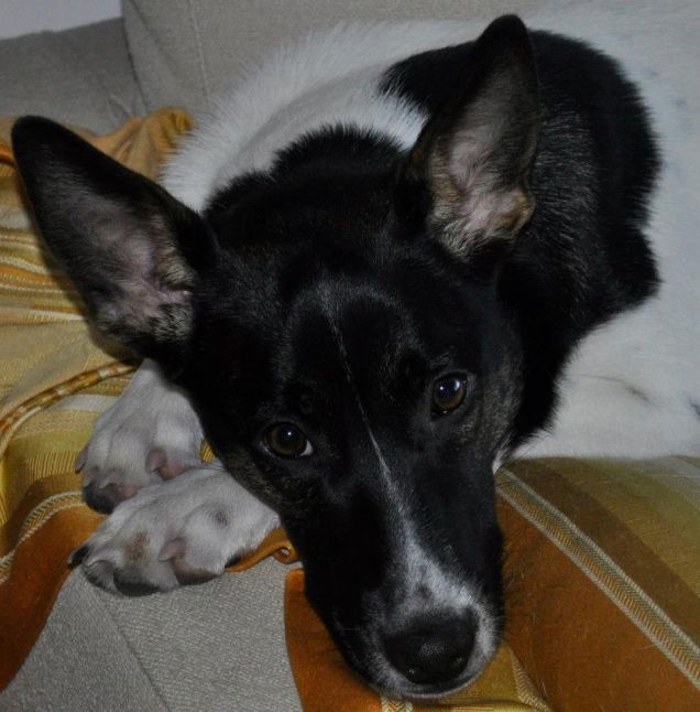 Piccola pestifera dagli occhi dolci