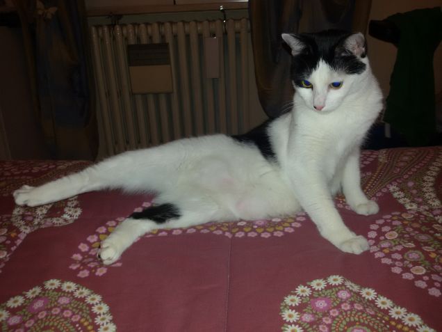 Facciamo un po' di stretching! xD