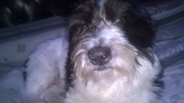 il mio piccolo ma grande Amore 