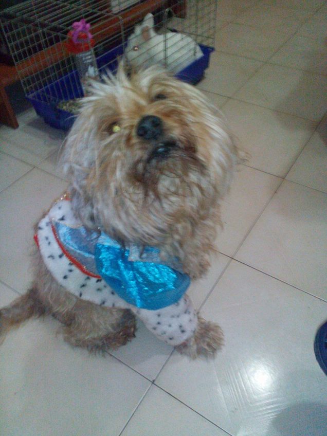 Il mio principe azzurro