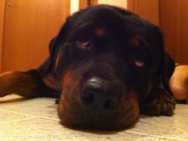 Kelly e i suoi pensieri! :D 