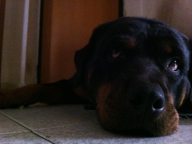 kelly 3 anni e 11 mesi :D