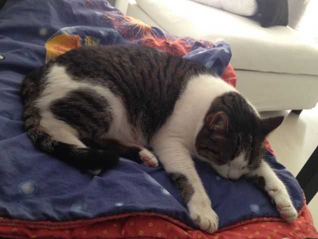 Max nella sua attività preferita