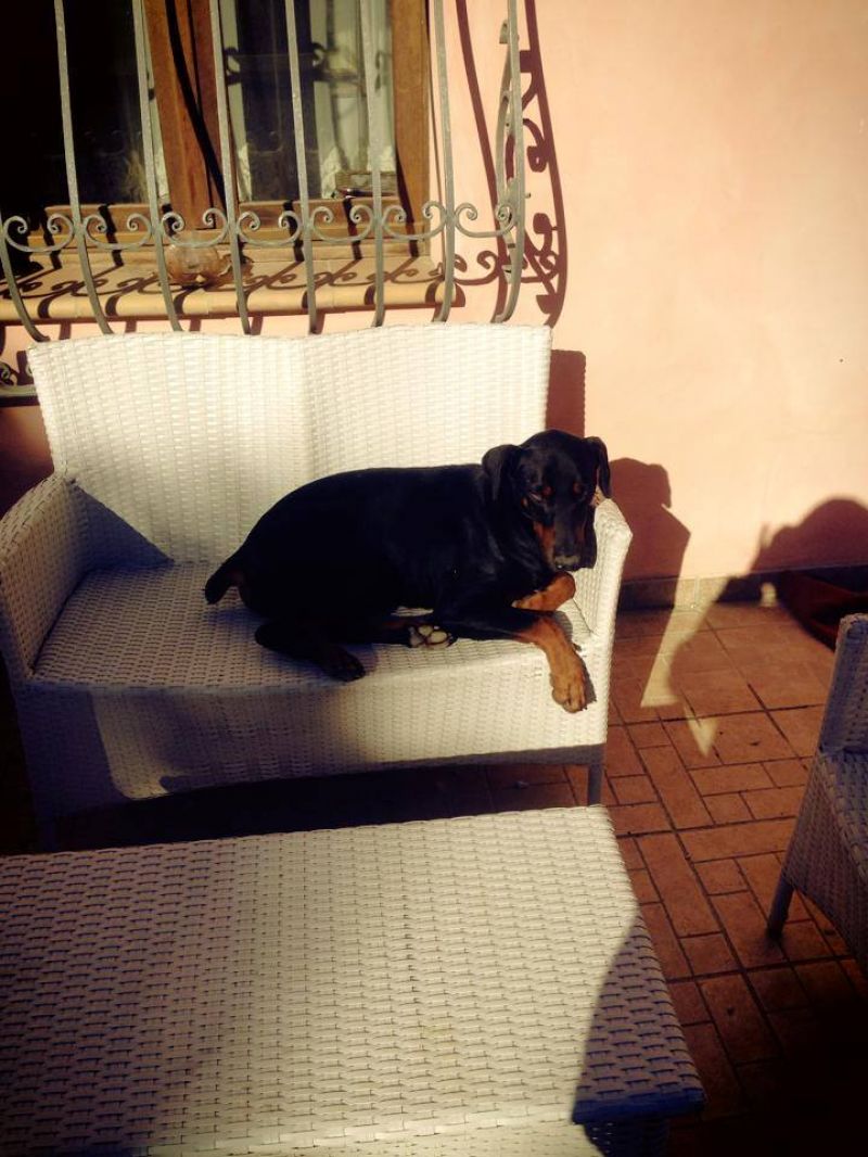 Leopoldo&Ettore cercano casa