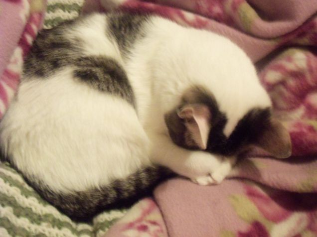 La Peppa mentre dorme =)