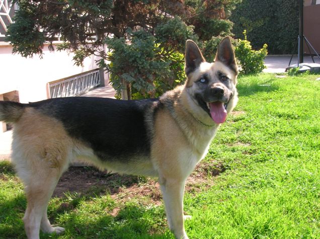 sempre pronta a giocare