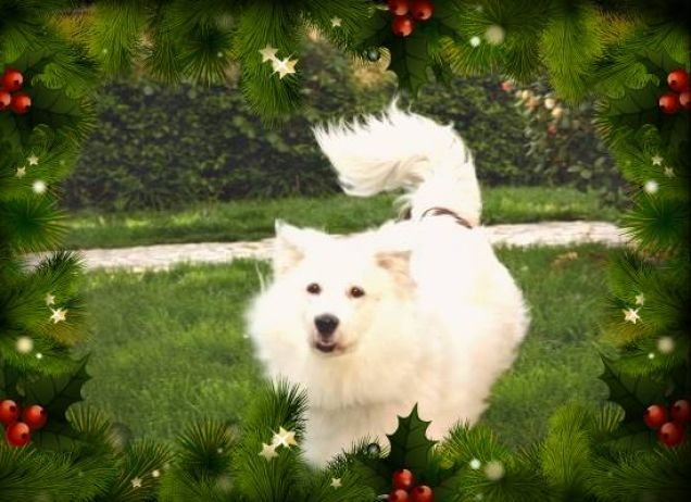 Tanti Bauguri da Magà!!