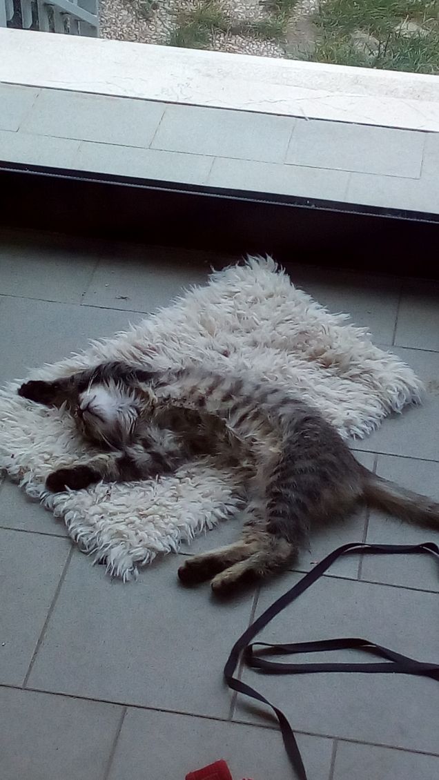 Pisolino Time per Gaia