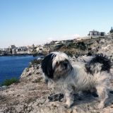 Rocco ricordi