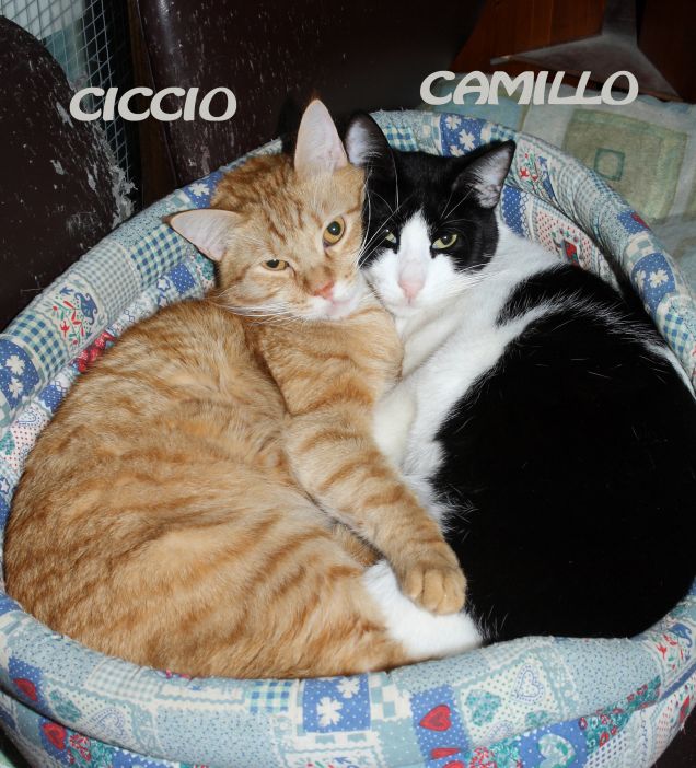ciccio e camillo