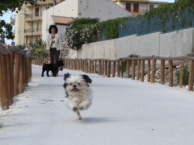 lo sport preferito di rocco