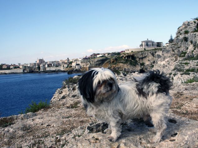rocco sulla pista ciclabile!!