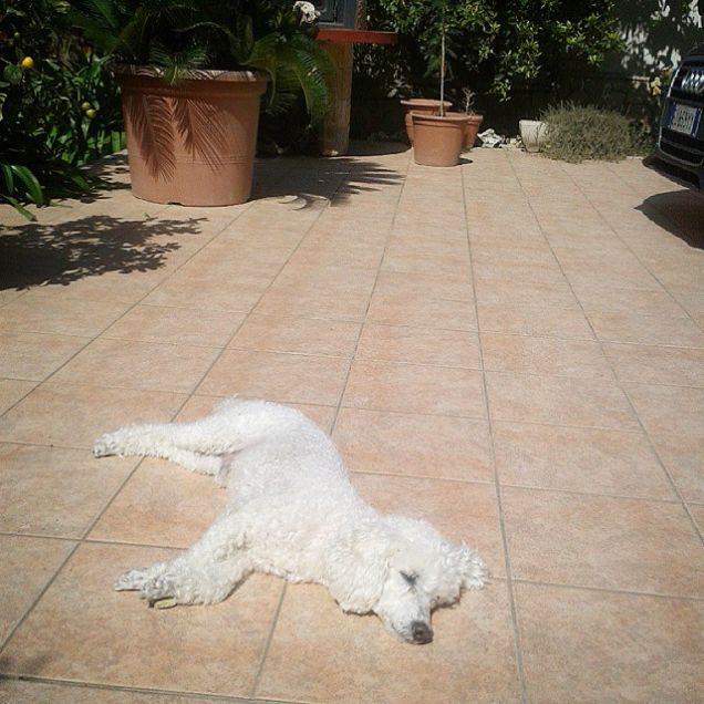 Primi raggi di calore