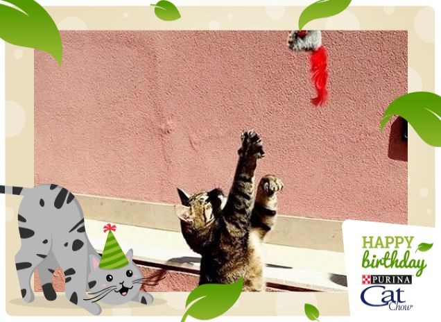 Campionessa di salto al topino