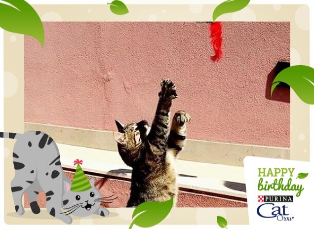 Campionessa di salto al topino