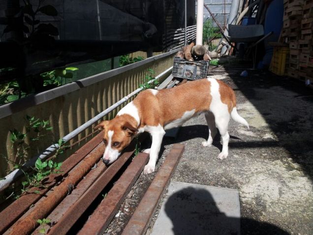 cosa c'è qui sotto?? sento un odorino...