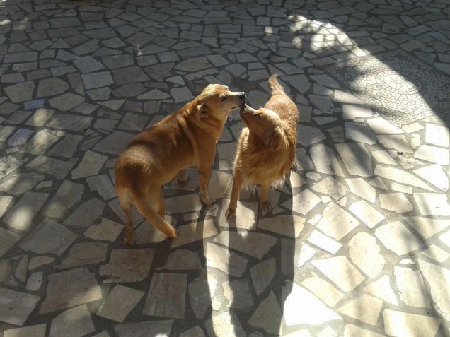 L'affetto della famiglia, che scalda il cuore anche quando fuori nevica e si gela! Che Natale sarebbe senza?