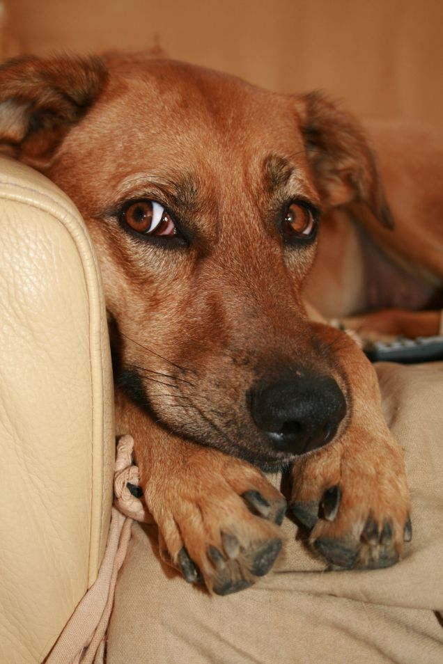 Che sguardo da biricchina ;)