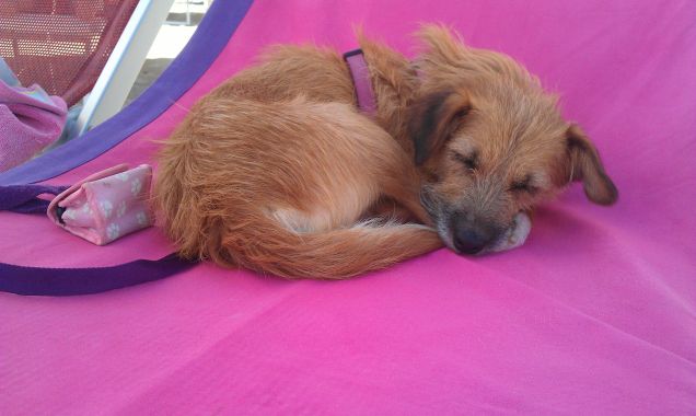 Brisi Relax in spiaggia