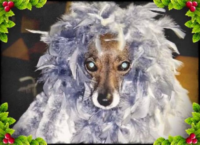 Lilli la Regina delle nevi