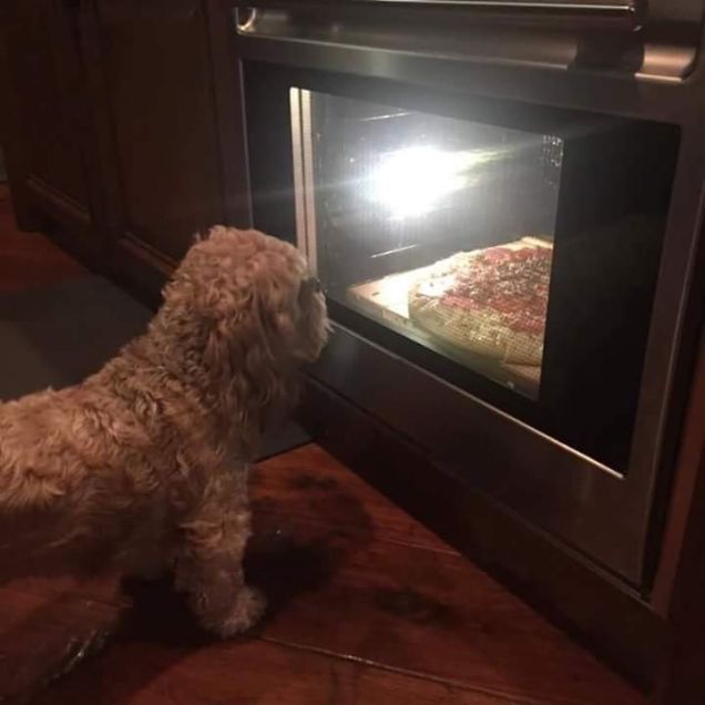 mamy e' pronta la pizza?
