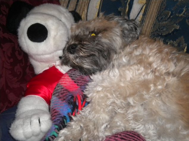 MIMI E SNOOPY