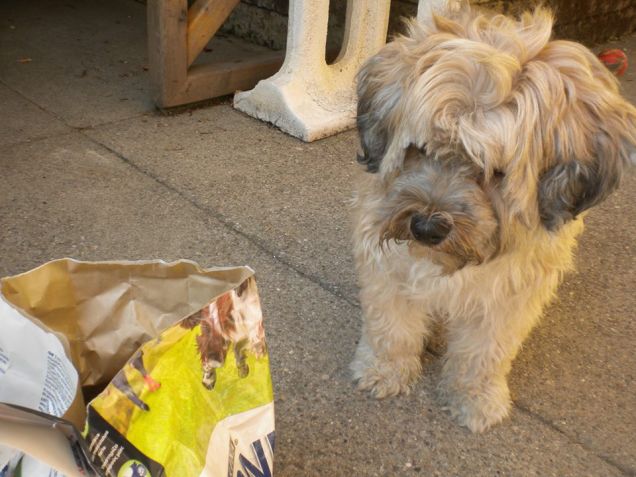 qui ero ancora col manto invernale