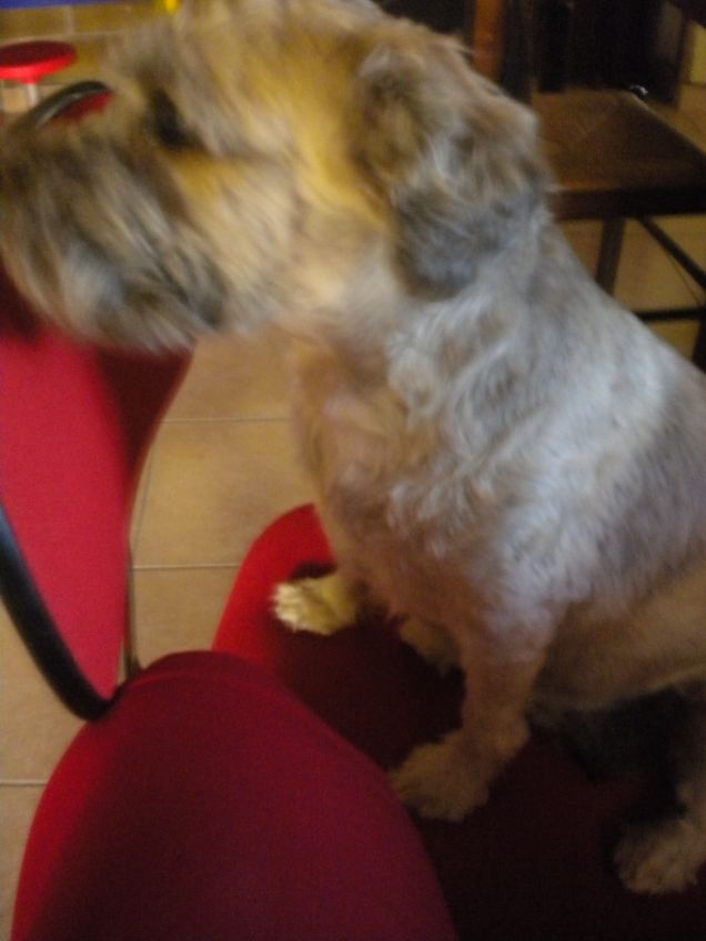 voglio stare vicino a te