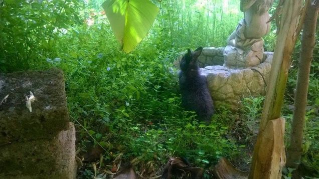 ora entro nella fontana...