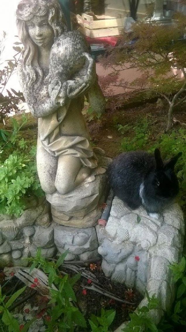 Ciuffo...ma sei piccino!