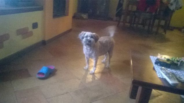 ti rubo le ciabatte!