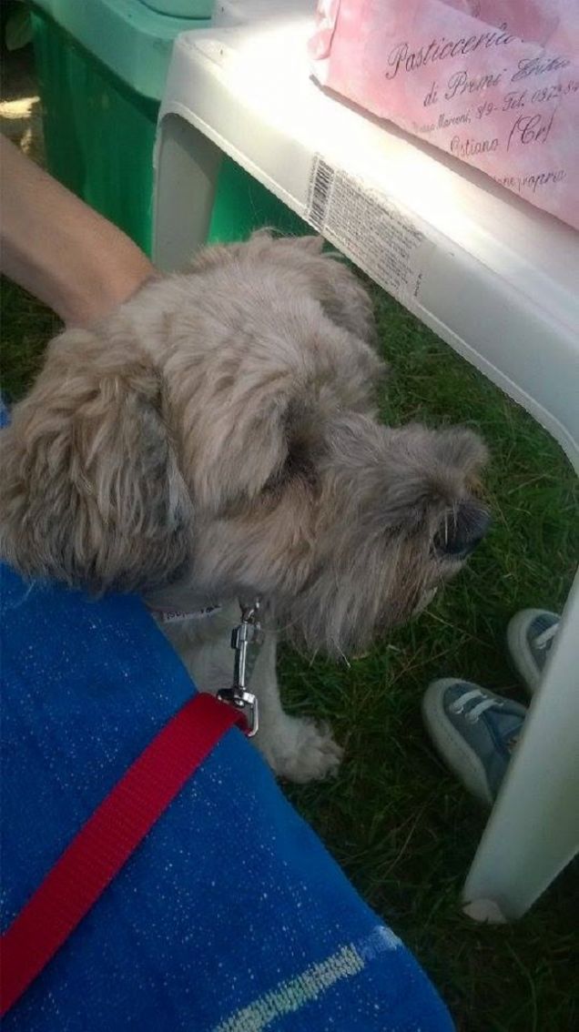 sotto la sdraio c'e'piu'fresco