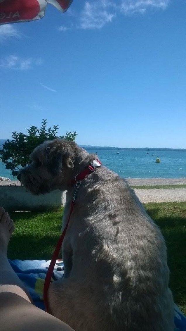 insieme sulla sdraio