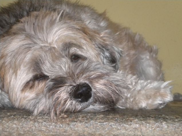 dai mamy...lasciami riposare...