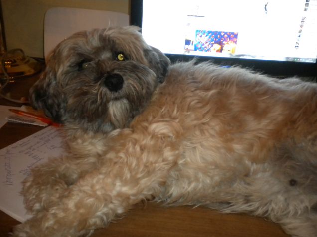 sono la nuova segretaria ^_^