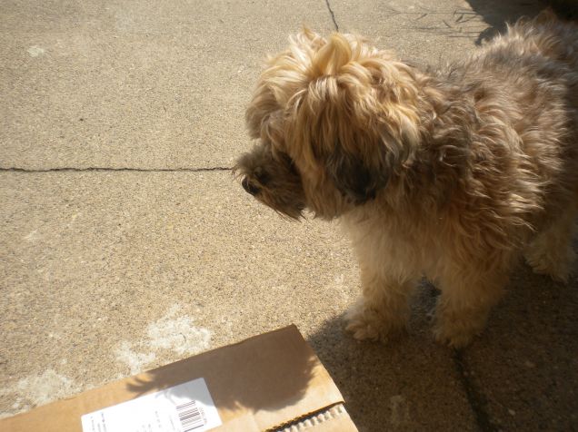 cosa c'e'nella scatola?