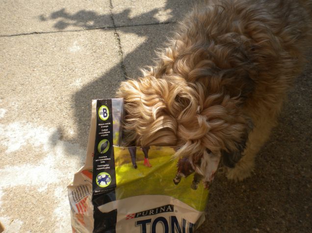 quante crocchette qui dentro!!!!