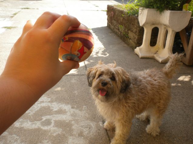 mamy giochiamo insieme!