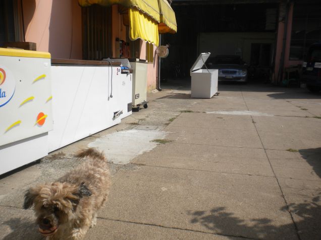 e'mia la palla ...corri mamy!