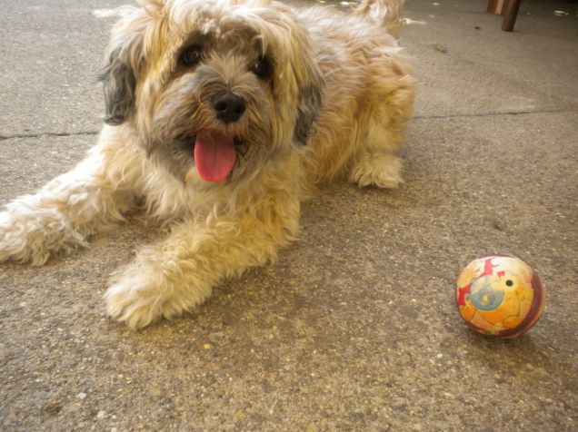 facciamo una pausa ora?