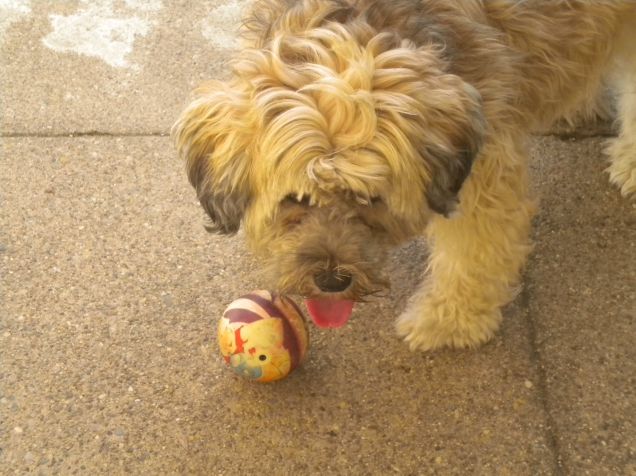 ...non si tocca...grrrrr