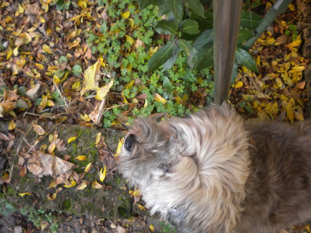 la mia acconciatora ahahaha