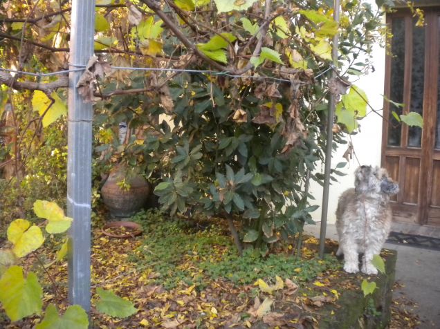 allora,uccellino...scendi o no????