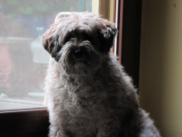 la mia finestra preferita